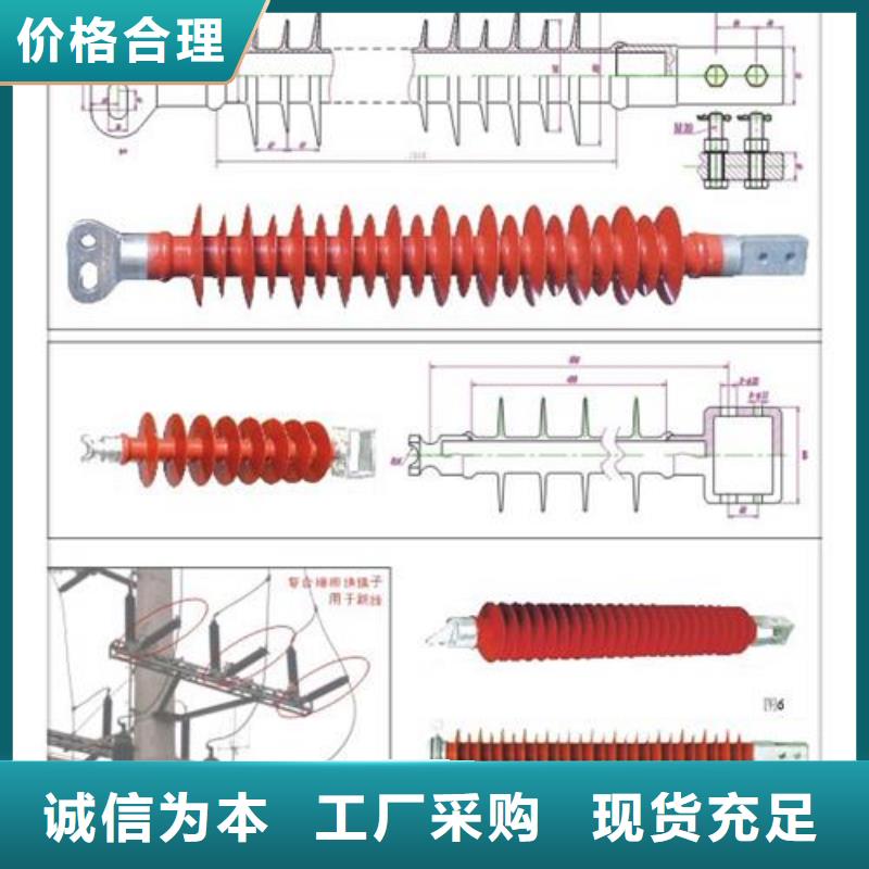 ZB-6T陶瓷绝缘子樊高电气