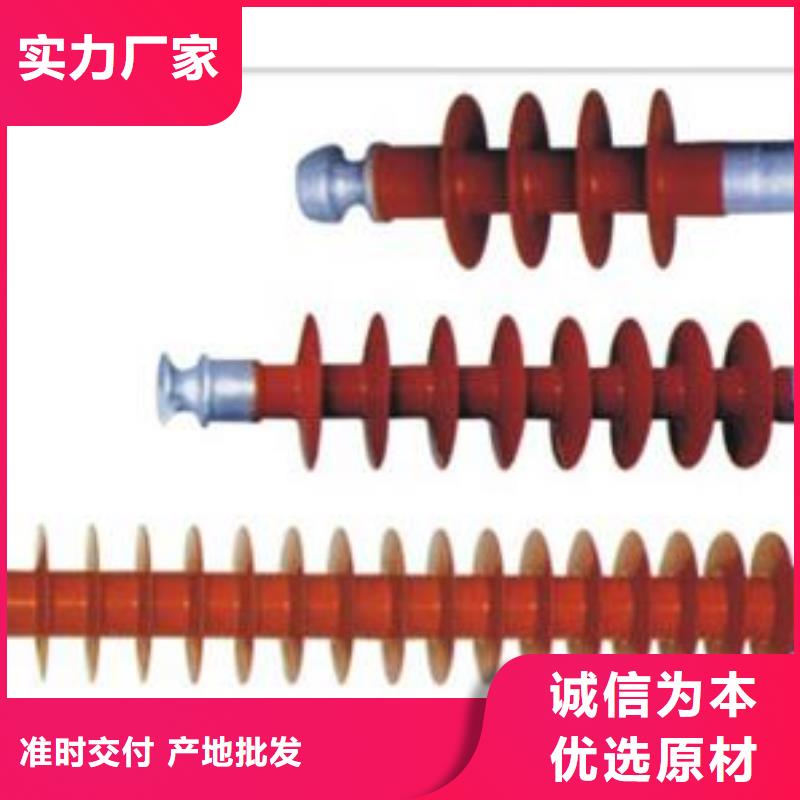 绝缘子真空断路器敢与同行比服务