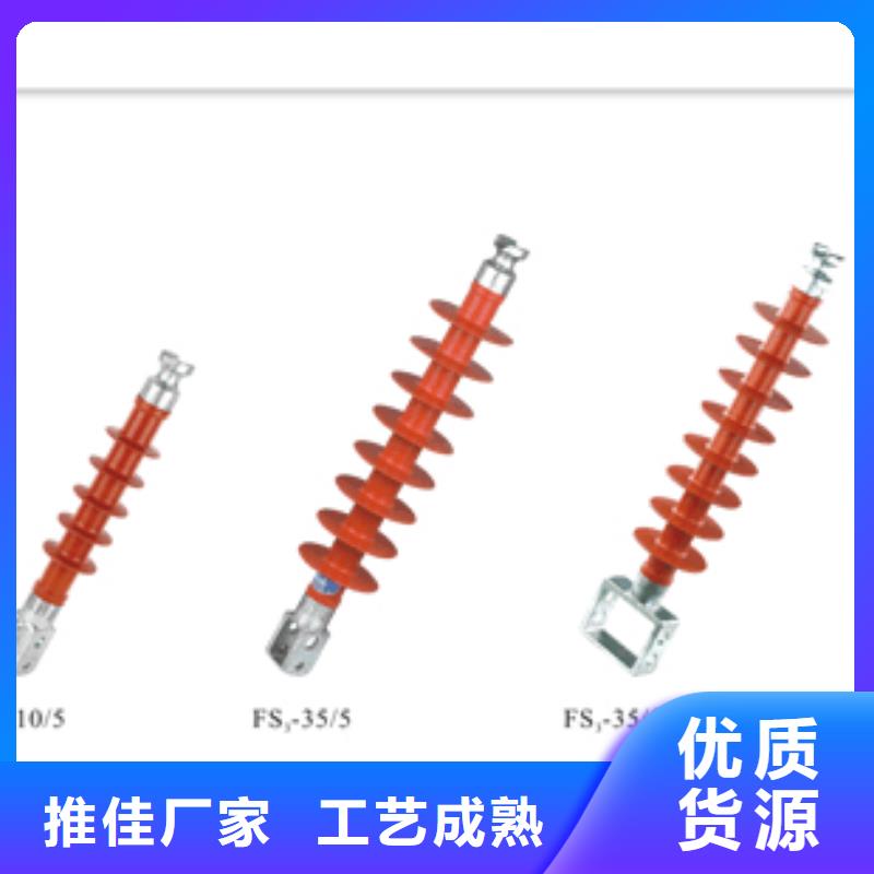 FZSW-24/8L樊高