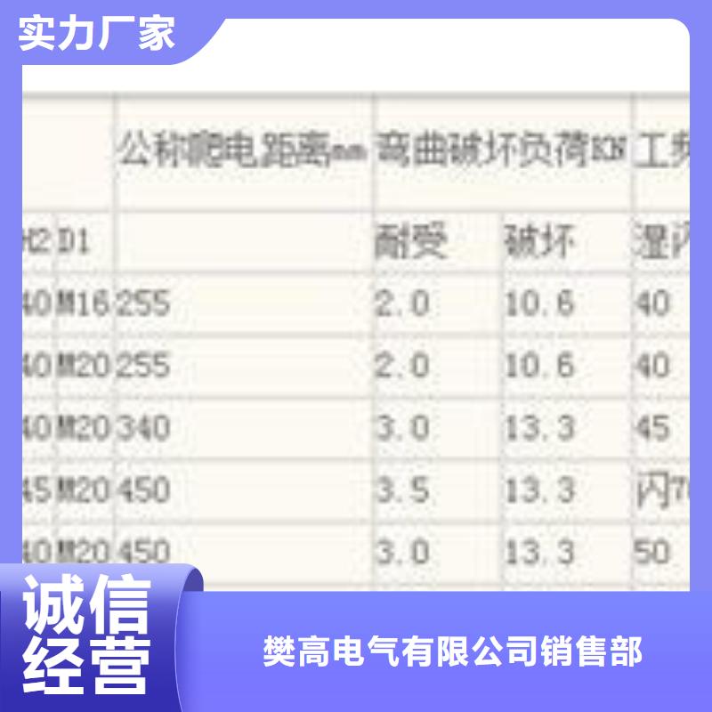 FXBW1-330/210硅胶绝缘子