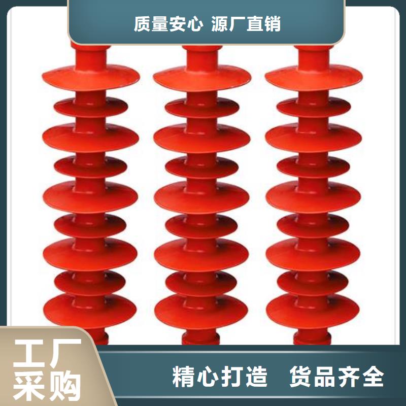 FZSW-12/4高压绝缘子