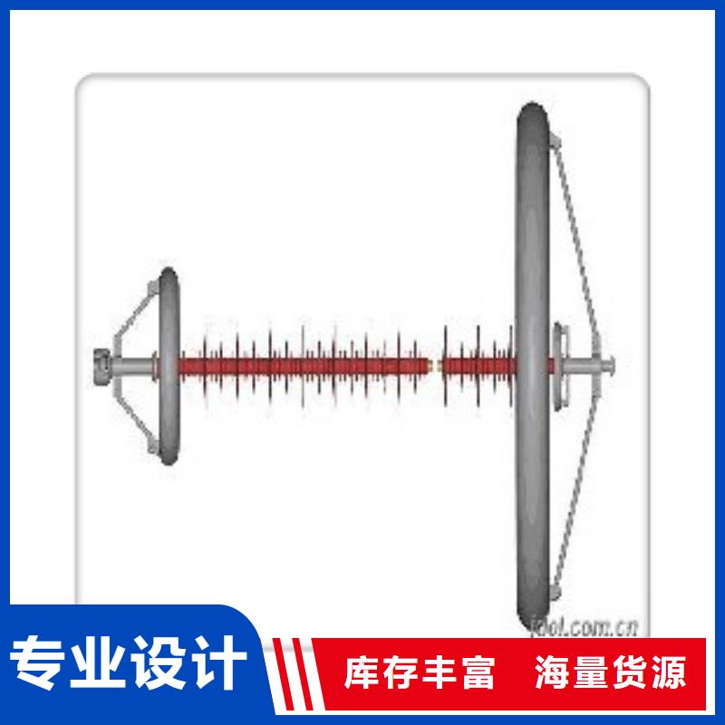 ZSW-110/800高压绝缘子