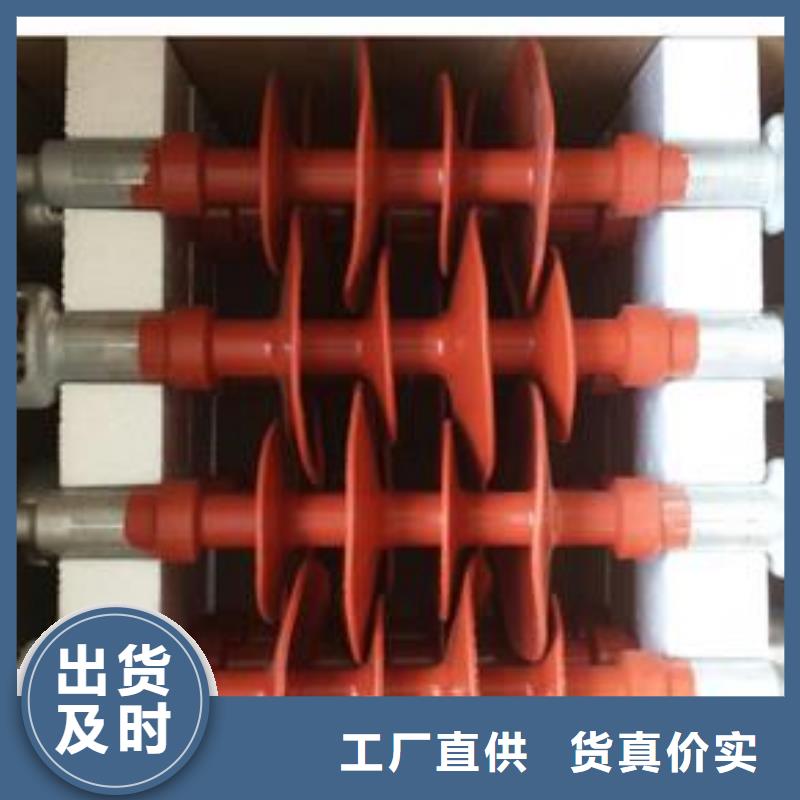 樊高FZSW-110/10高压复合绝缘子生产型