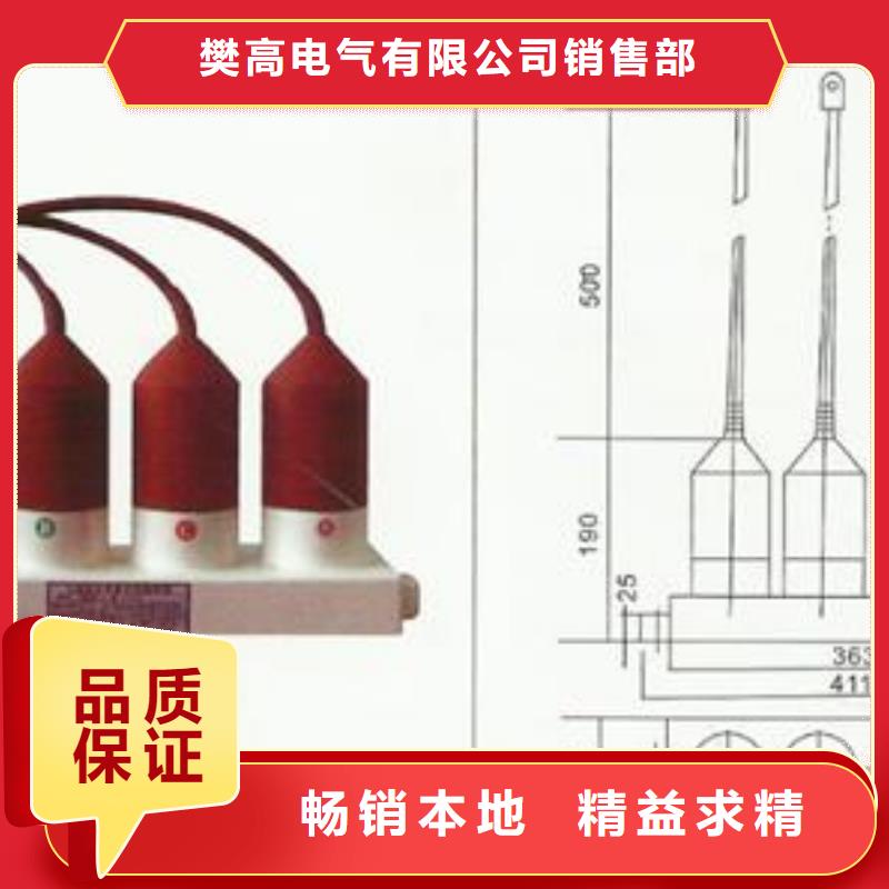 TBP-A-42F/310三相组合式避雷器