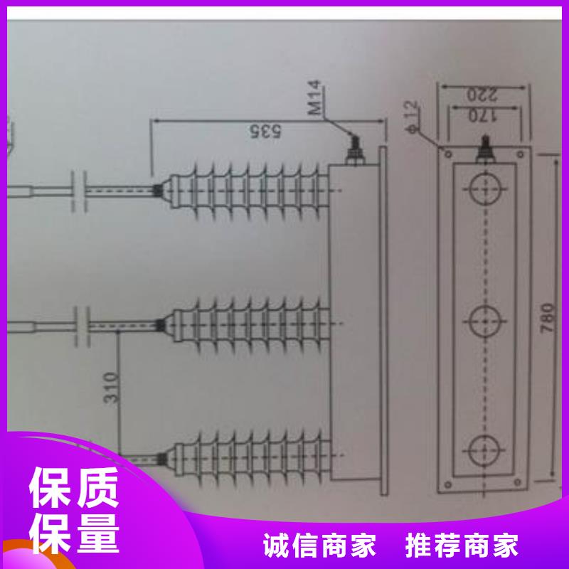 BSTG-B-42避雷器用保护器