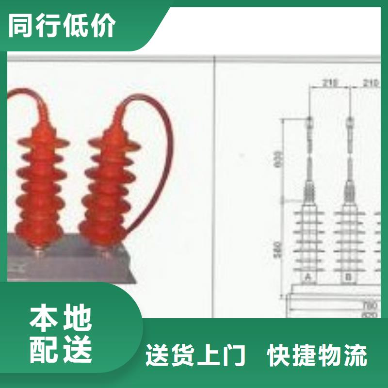 TBP-A-42F/630W2间隙过电压保护器