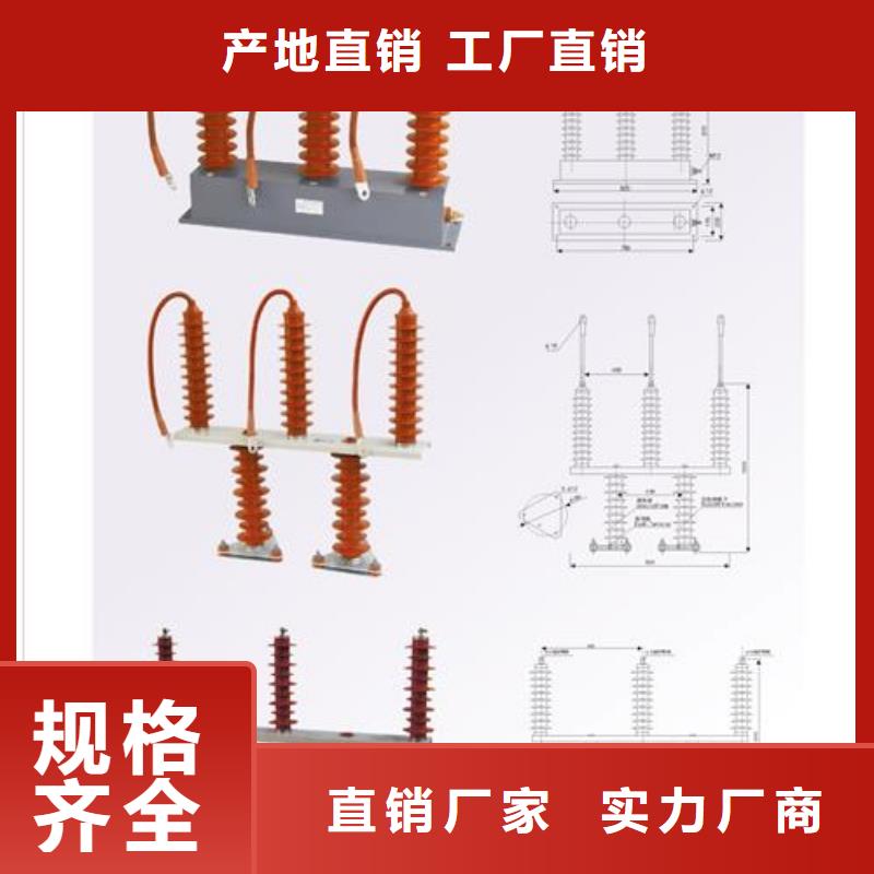 【过电压保护器_氧化锌避雷器价格精工打造】