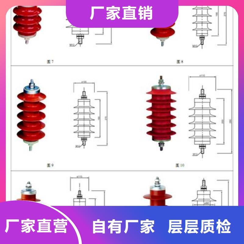 中性点过电压保护器避雷器用保护器