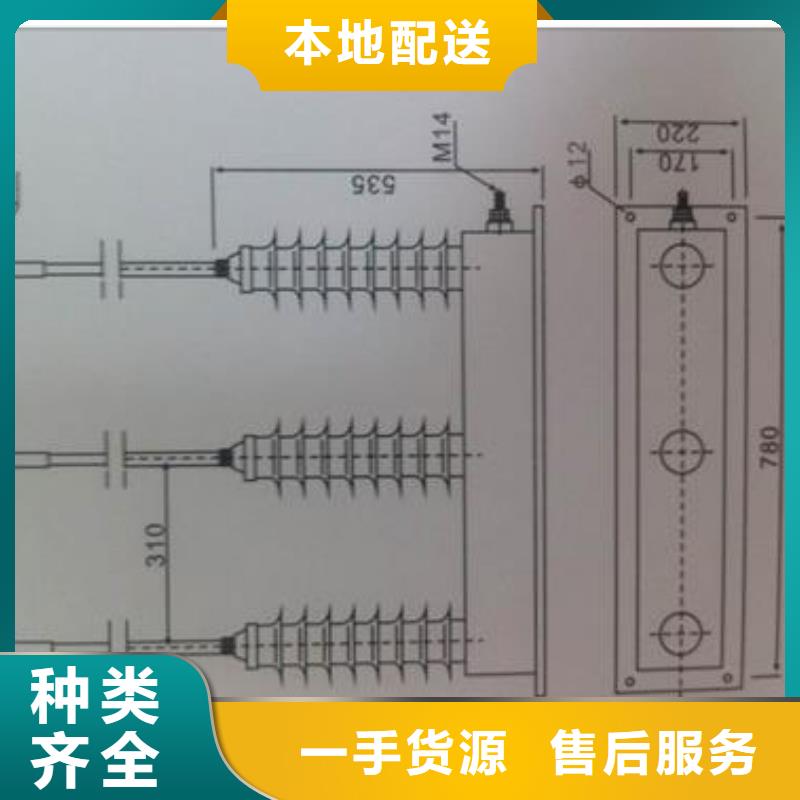让利客户【樊高】TBP-B-42F/200间隙过电压保护器