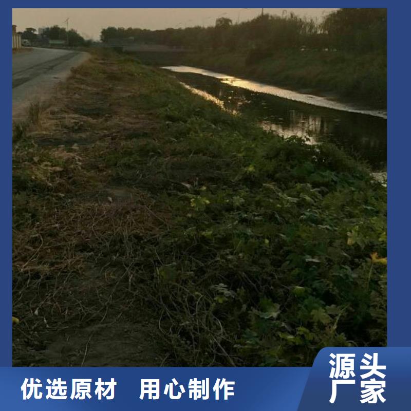 湖北沙漠沙土固化剂生态道路固化土预算