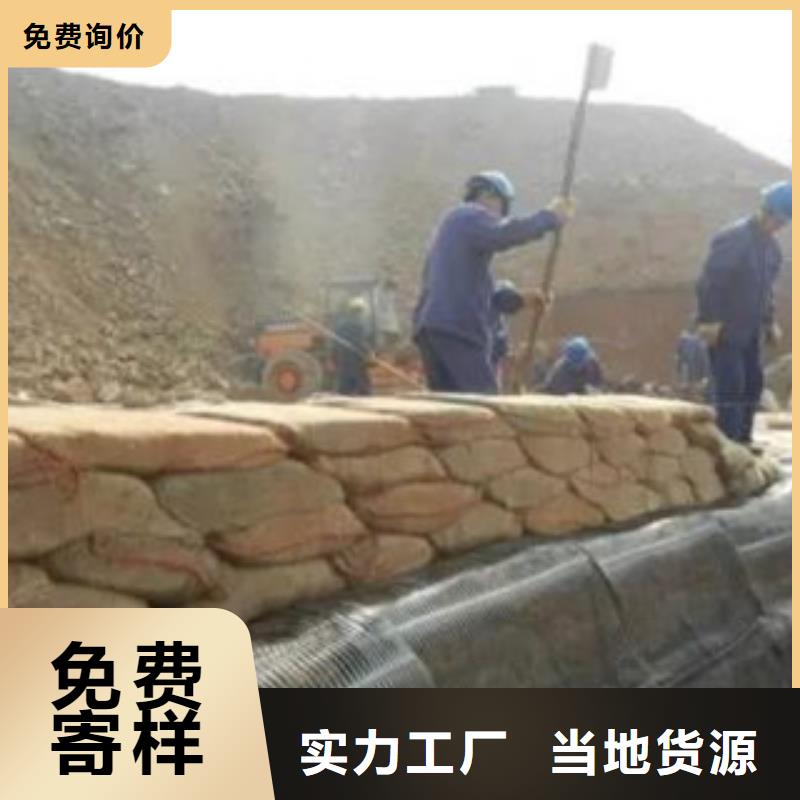 欢迎：单向塑料土工格栅——有限公司