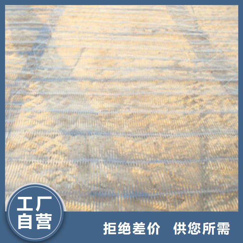忻城县单向塑料土工格栅价格厂家资讯热点
