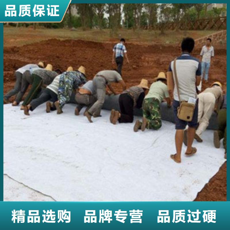洪湖钠基膨润土防水毯价格施工简单、高效