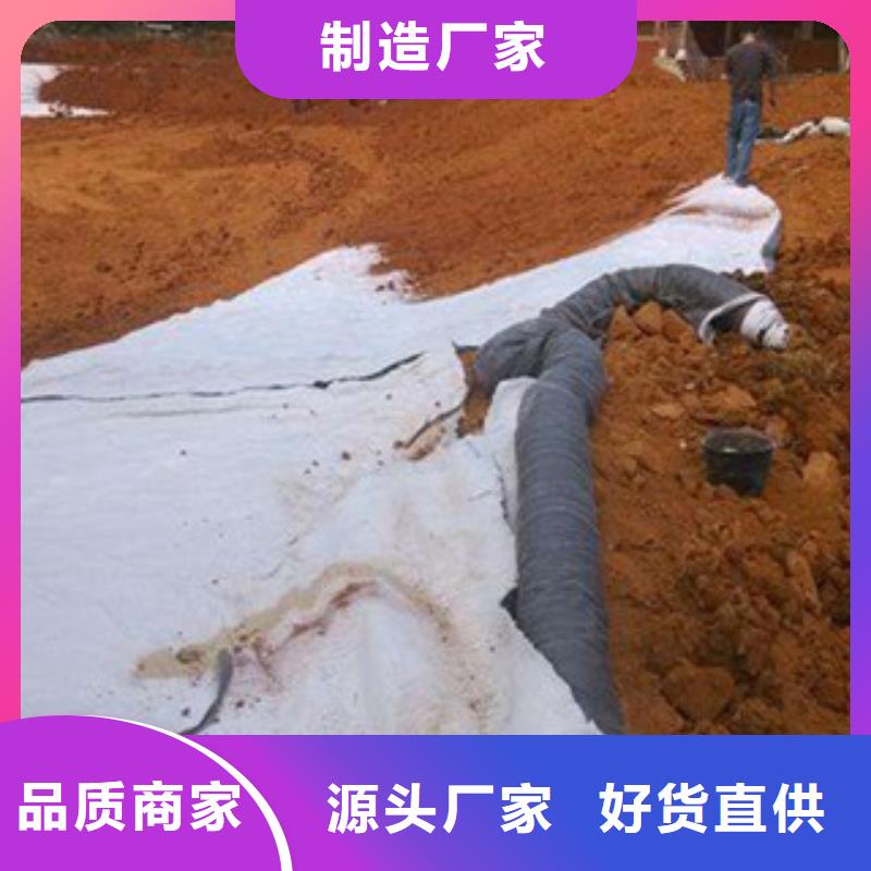 沭阳钠基膨润土防水毯价格施工技术支持