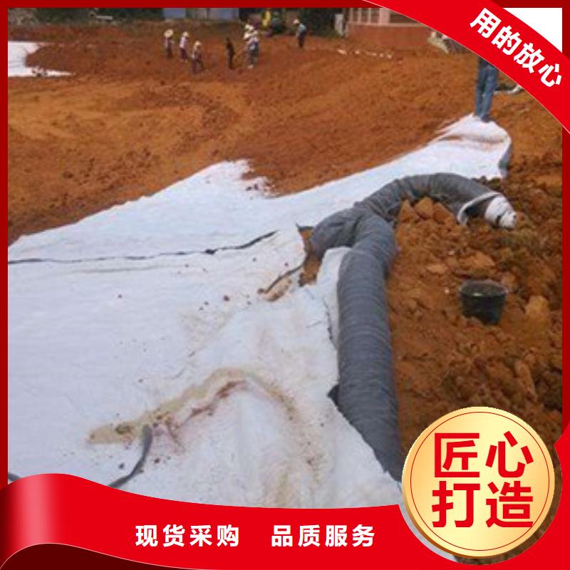 黄州膨润土防水毯厂家厂家资讯热点