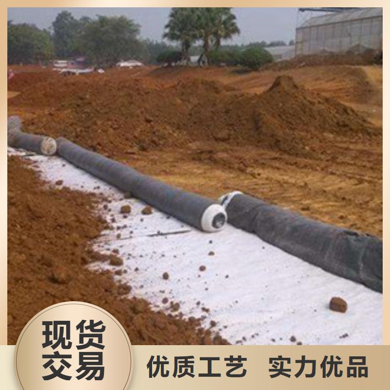 雁江钠基膨润土防水毯价格厂家质量有保障