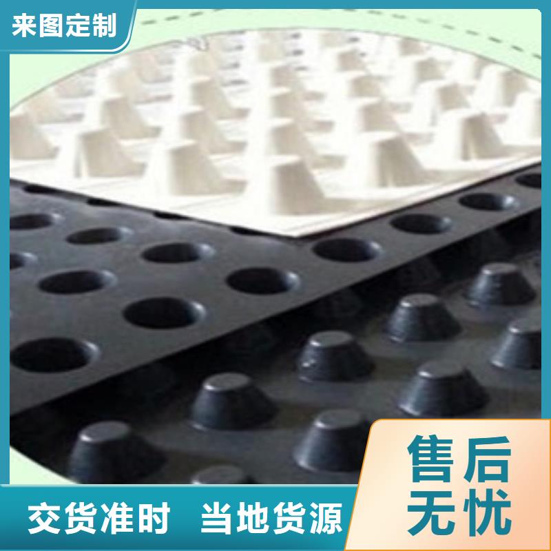 塑料排水板-钢塑土工格栅工厂价格