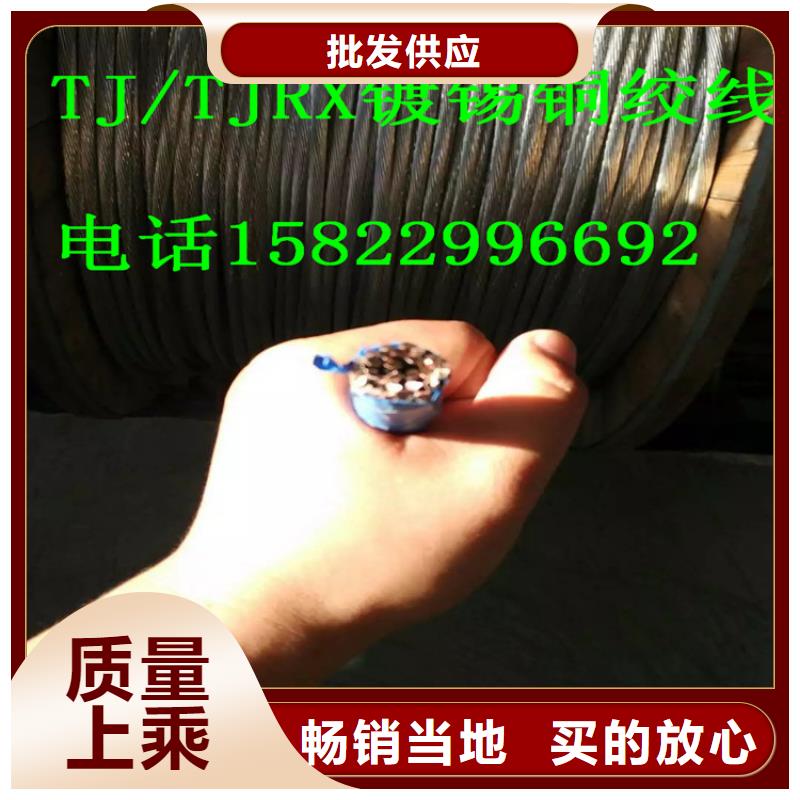 [芜湖]【本地】《辰昌盛通》铜绞线多少钱一吨推荐货源一米多少钱_产品案例