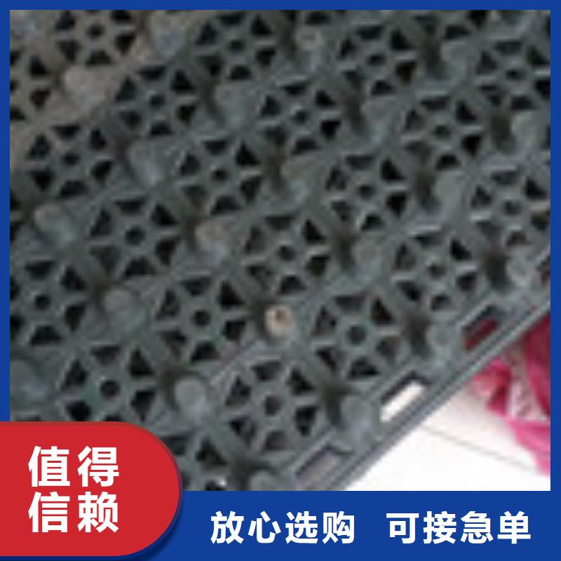 新闻：建德市透水盲管优质供应商