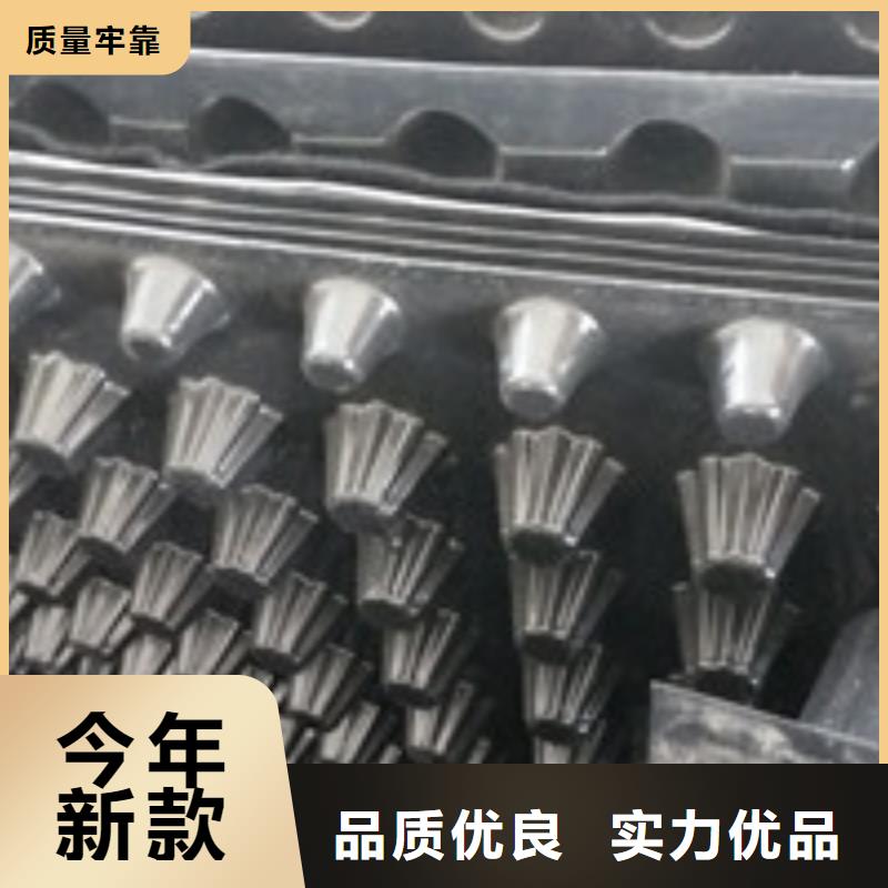 [泰驰]新闻：德宏RCP-Y10G(A)渗排水管优质供应商