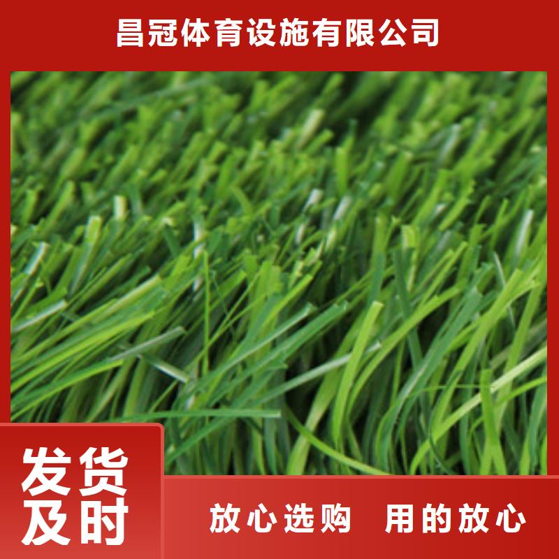 《临沧》询价足球场人造草坪哪家好精益求精
