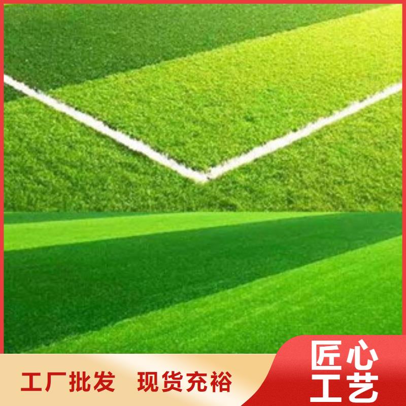 广东本土环保人造草坪生产厂家安装到位
