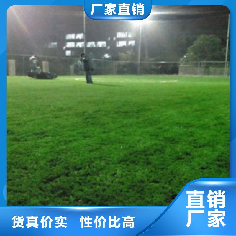 广东定做足球场人造草坪施工