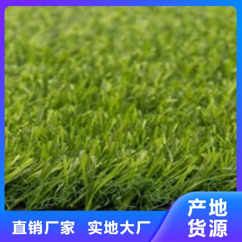 【朔州】品质绿化人造草坪施工厂家