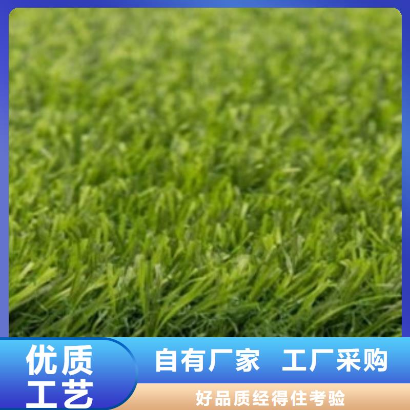 足球场人造草坪每平米多少钱