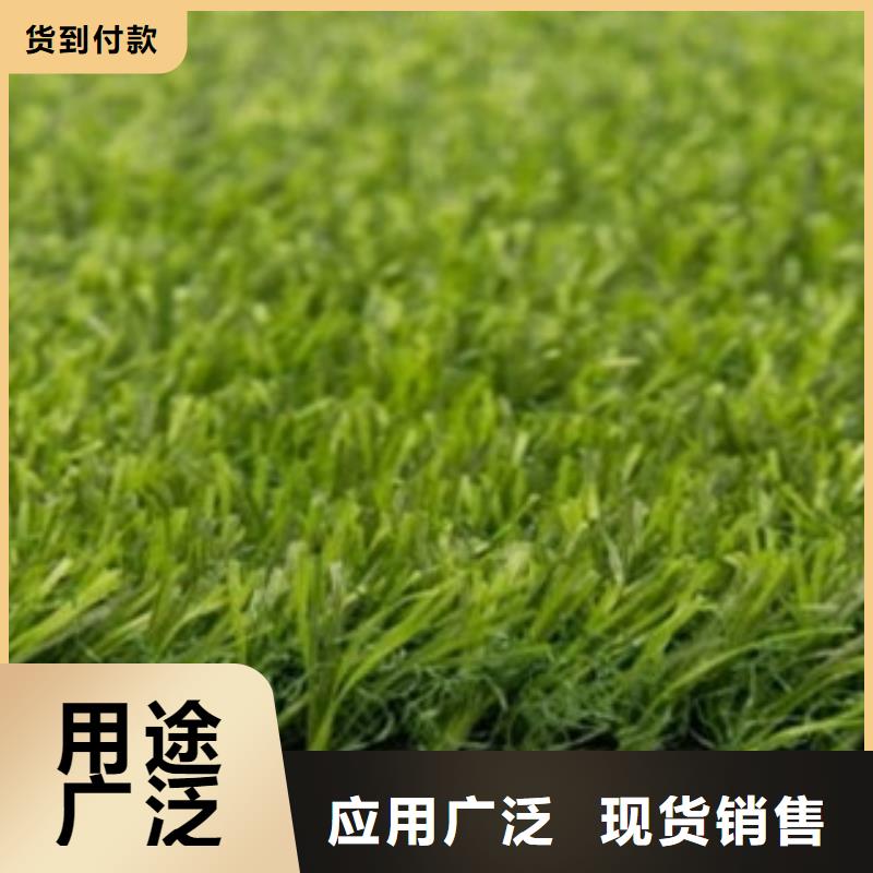产品优势特点[昌冠]人造草坪底布生产厂家每平米价格