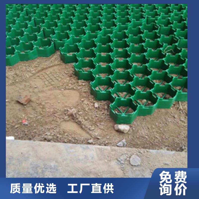 环保零污染植草格价格优惠量大从优