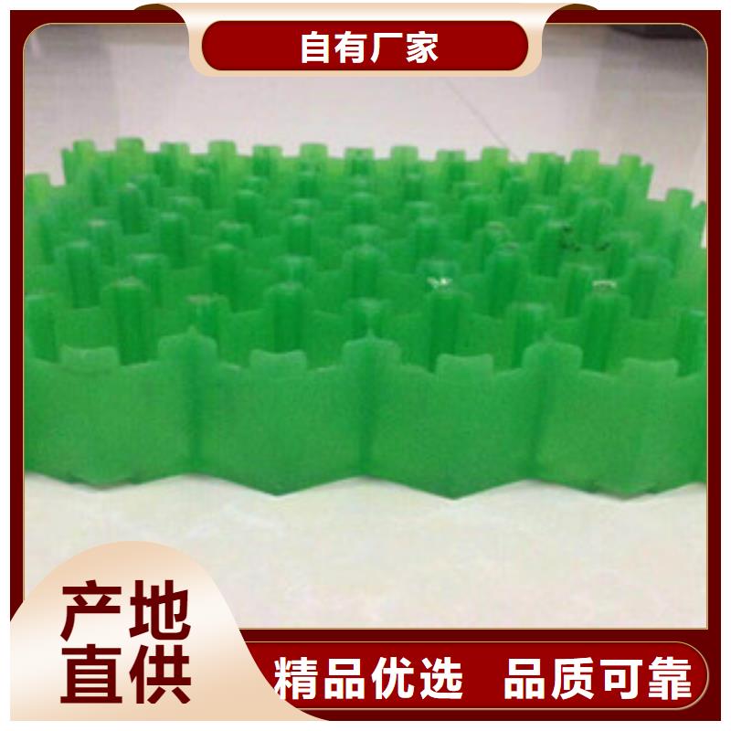 一件代发精选优质材料(富泰)绿色塑料植草格