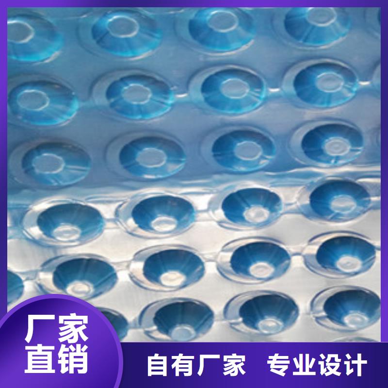 塑料排水板蓄排水板厂家一致好评产品