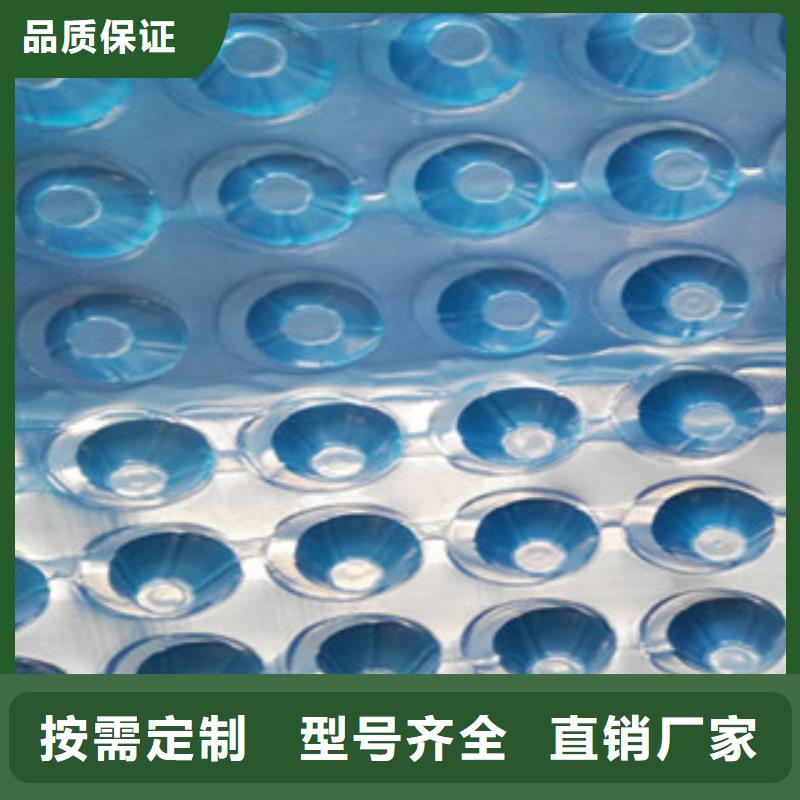 塑料排水板刚上市的新产品代理