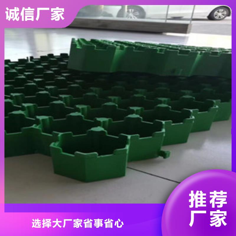 生产制造塑料植草格