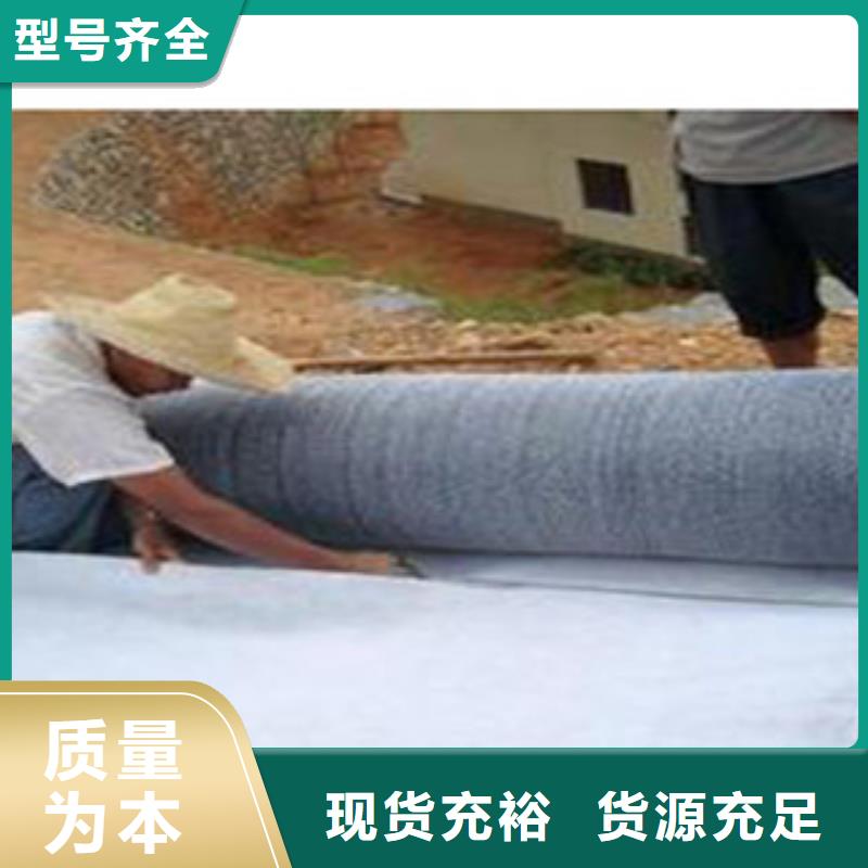 4500g膨润土防水毯常年供应山体护坡加固桑日