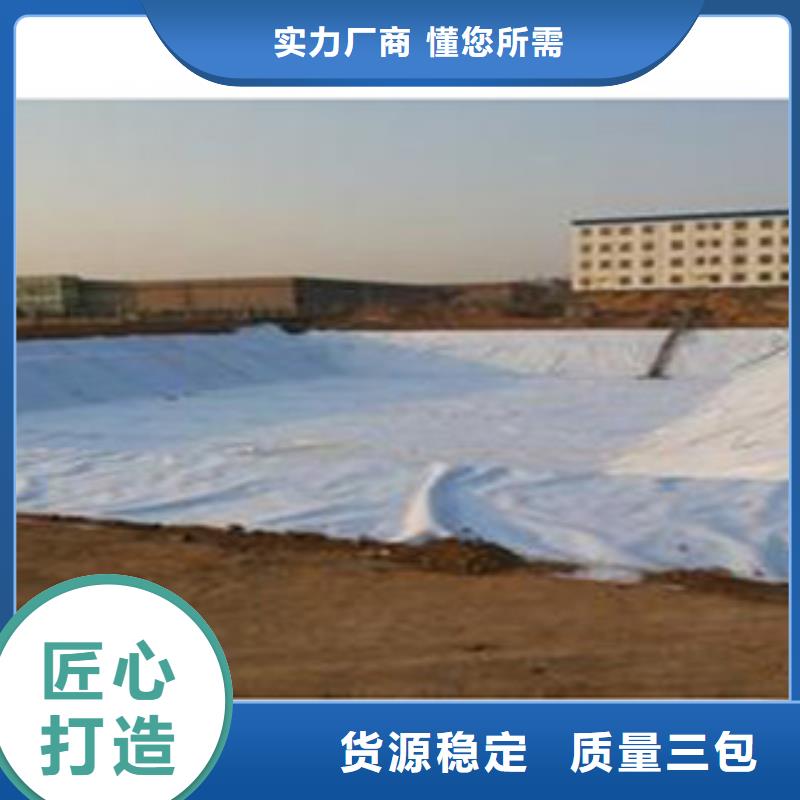 桦川4500g膨润土防水毯常年供应