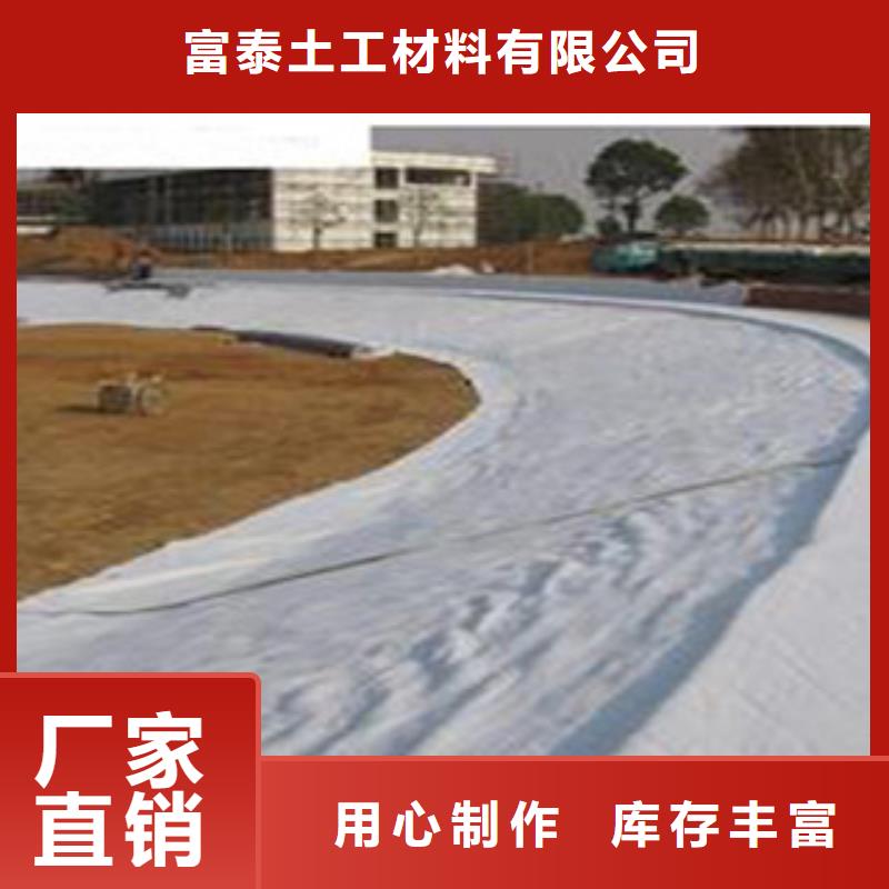 新型环保规格齐全4000g防水土工毯