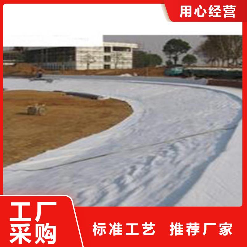 桦川4500g膨润土防水毯常年供应