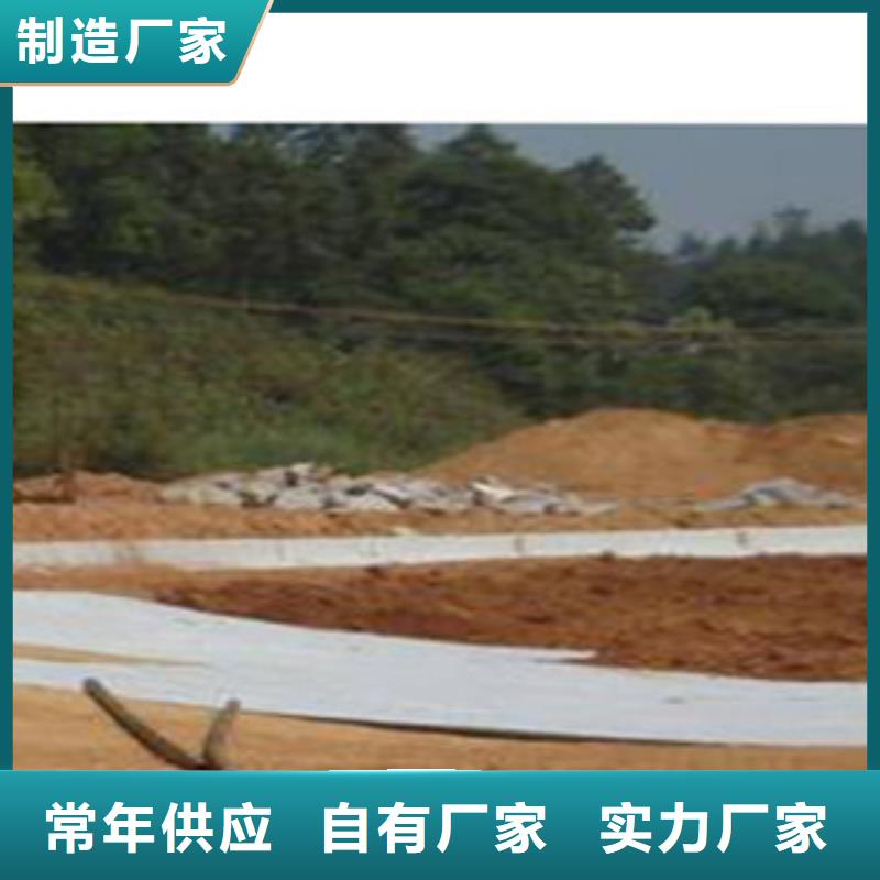 山东5公斤天然环保复合防水毯水渠建设生产厂家直销
