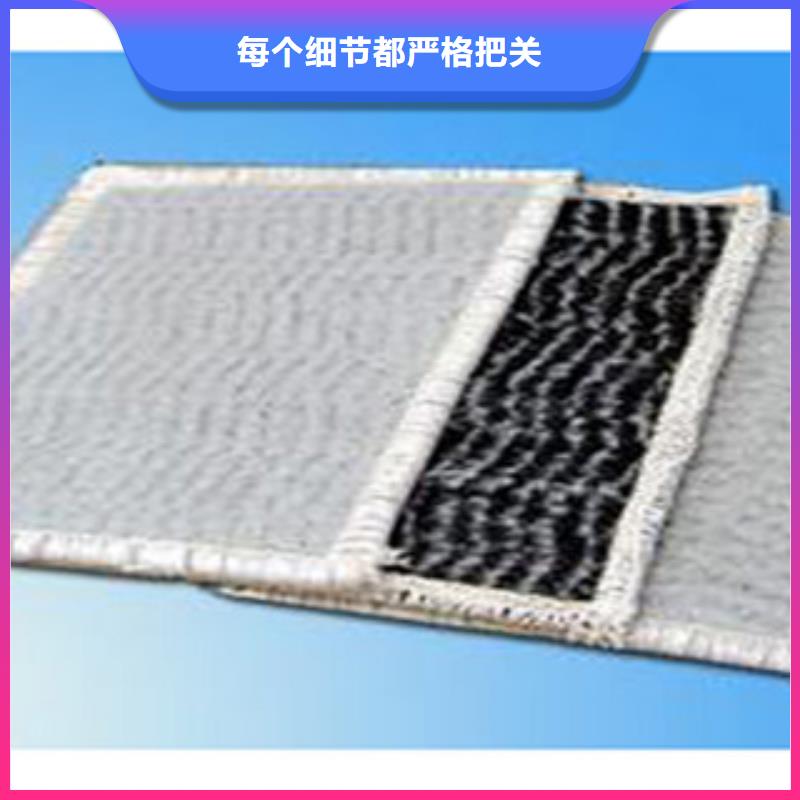 [富泰]钠基膨润土复合防水毯墨竹工卡填埋场专用常年供应