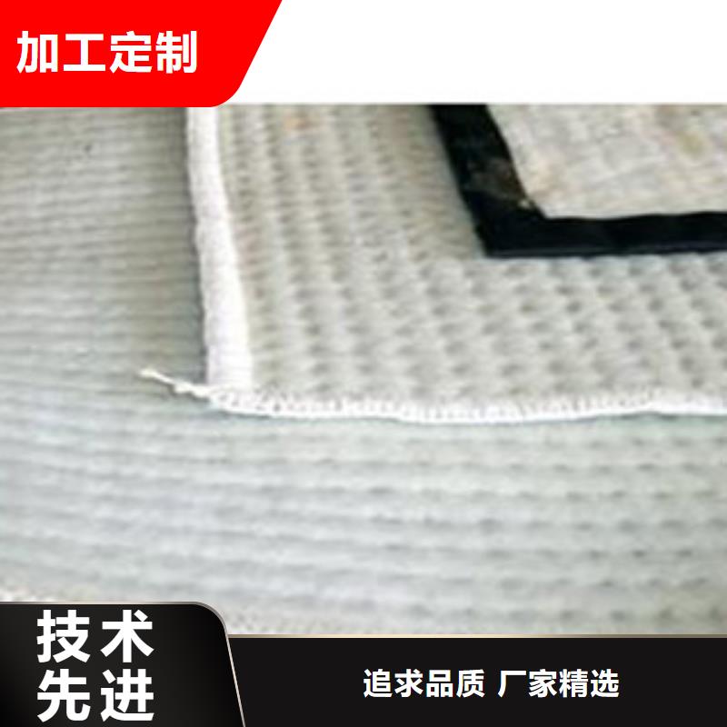 一站式服务(富泰)防水毯-膨润土防水毯厂家产品参数