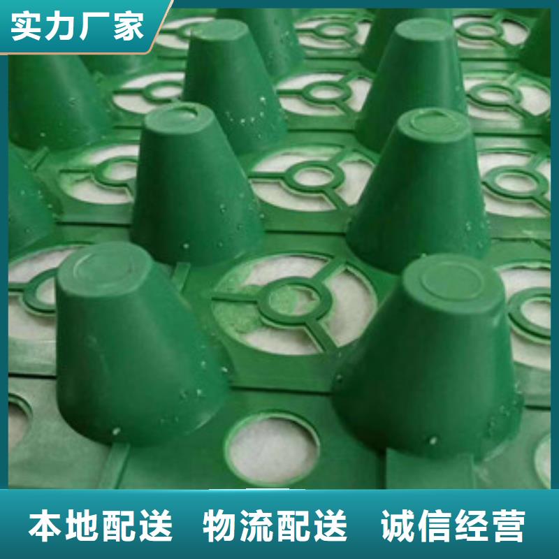 【安庆】优选20厚蓄排水板泰安富泰土工材料有限公司厂家价格