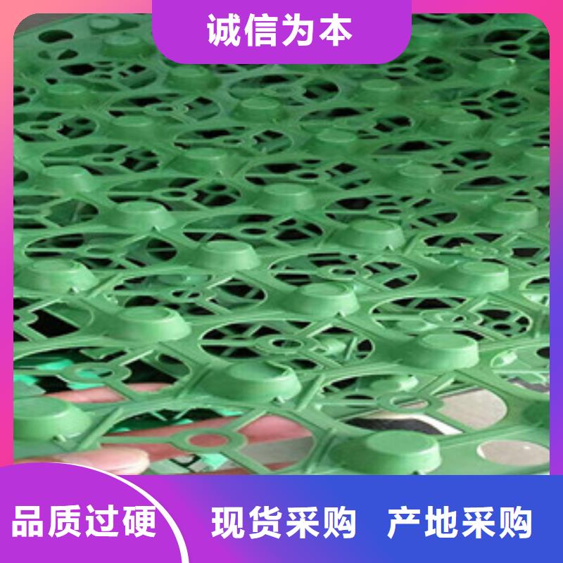 安庆当地H30mm排水板泰安富泰土工材料有限公司厂家价格