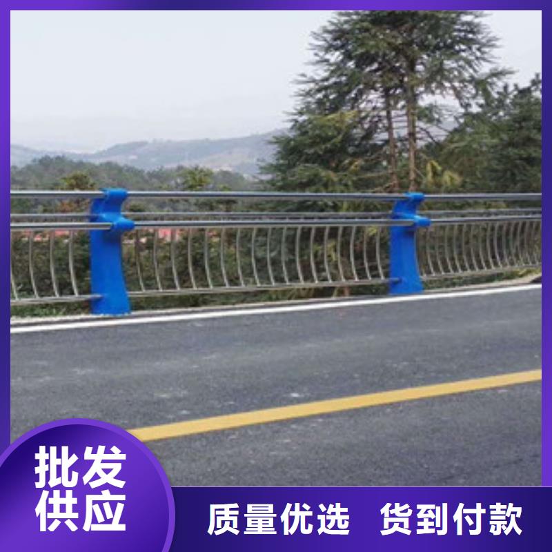本土【飞龙】人行道栏杆生产厂家桥梁防撞护栏真正的源头厂家