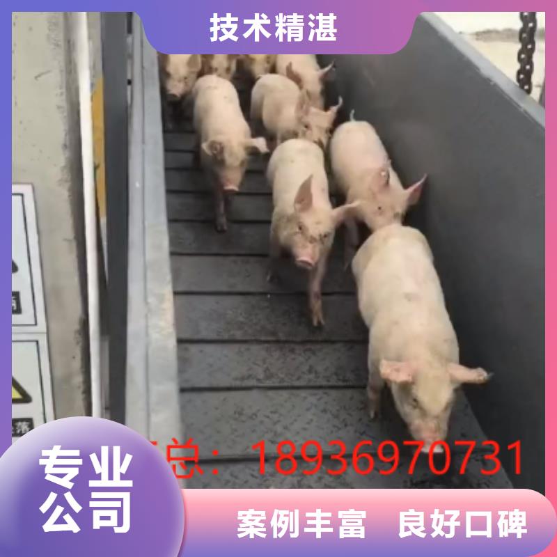 二育运输省钱省时方便快捷猪笼车运输